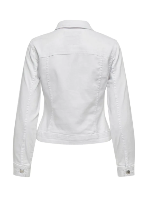 Diseño sin título.zip - 38